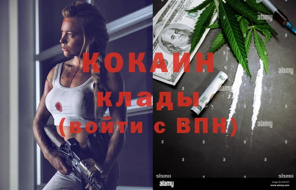 гидра Вязники