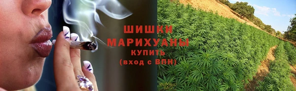 гидра Вязники