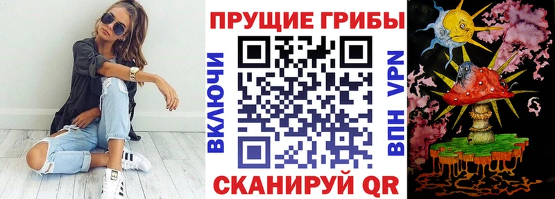 Псилоцибиновые грибы мухоморы  Купить где  Лесосибирск 